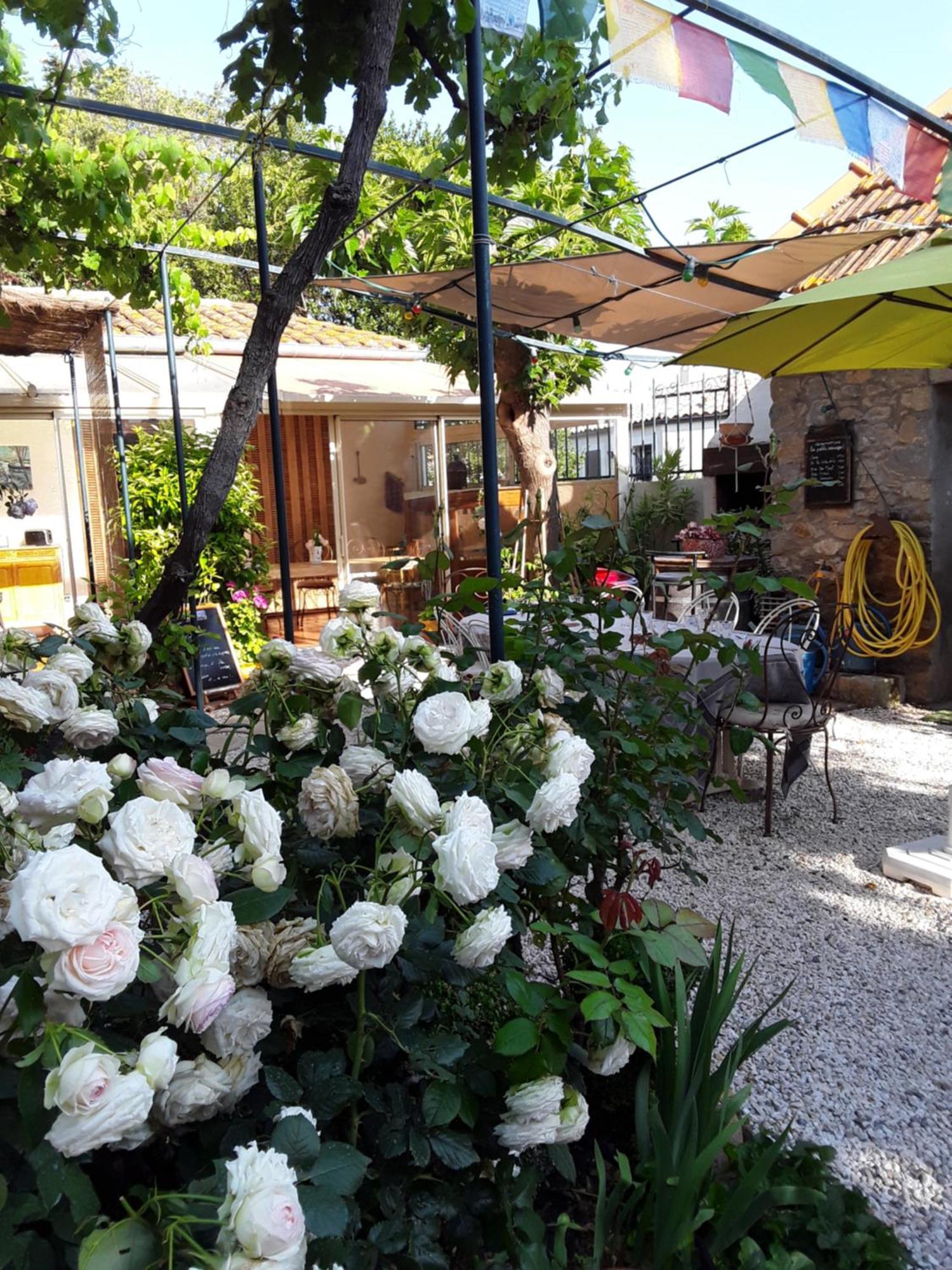 Les Terres Basses Hotel Fabrezan Exterior photo